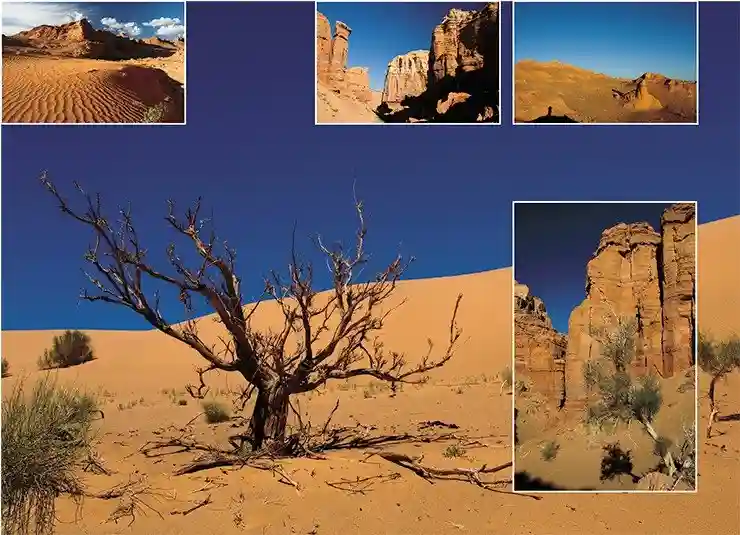 Каньоны Хермен Цав