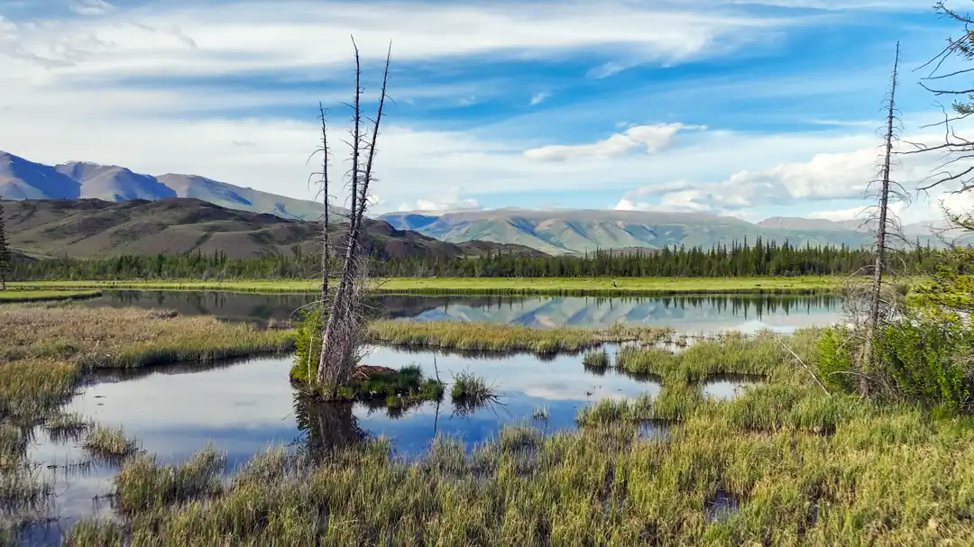 Река в долине Северо-Чуйского