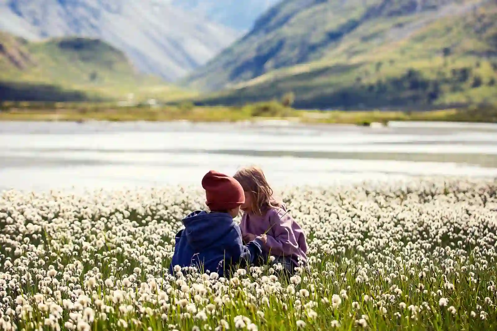 Горные вершины Альп, покрытые туманом на рассвете